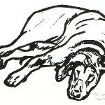"Sleeping Dog"