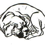 "Sleeping Pup"
