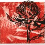 "Telopea II"
Linocut & Photopolymer etching