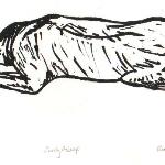 "Jonty Asleep"
