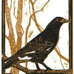 "Currawong"
2 block wood engraving
10cm x 7.5cm

edition of 50
unframed $45