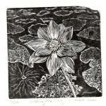 "Gilding the Lily"
Wood engraving with gold leaf