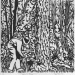 "Hewin' Pine"
Huon Pine cut